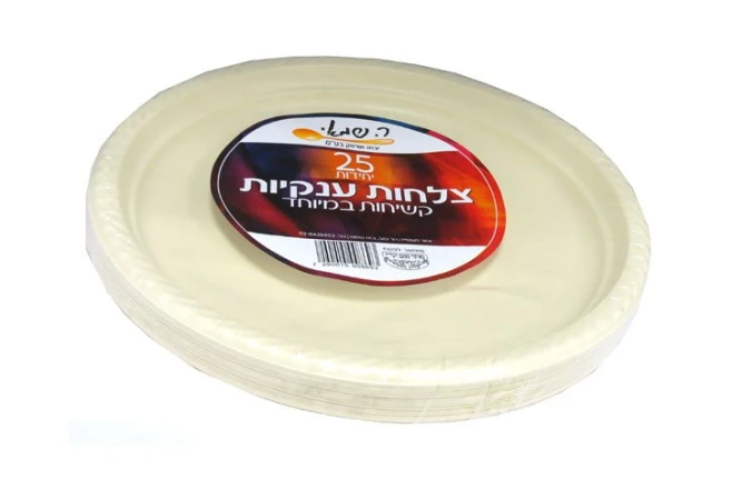 צלחת 10 ענקית צבעוני 20 י"ח